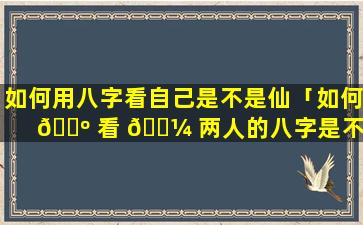如何用八字看自己是不是仙「如何 🌺 看 🌼 两人的八字是不是合适」